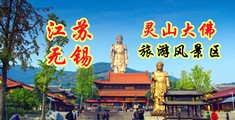 操BxⅩ站江苏无锡灵山大佛旅游风景区